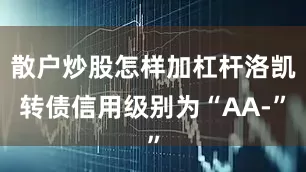 散户炒股怎样加杠杆洛凯转债信用级别为“AA-”