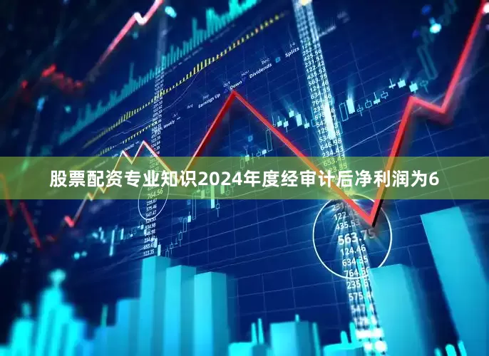 股票配资专业知识2024年度经审计后净利润为6