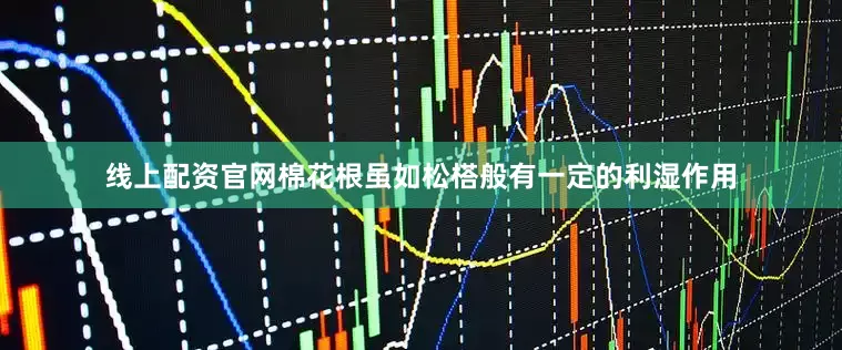 线上配资官网棉花根虽如松榙般有一定的利湿作用